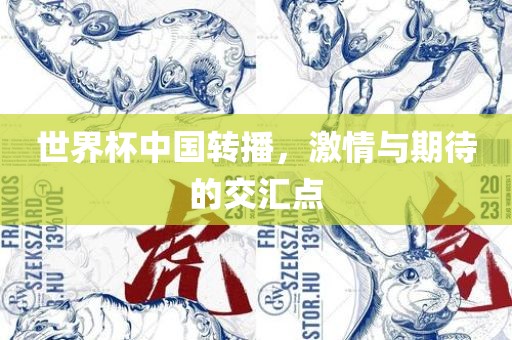 世界杯中国转播，激情与期待的交汇点
