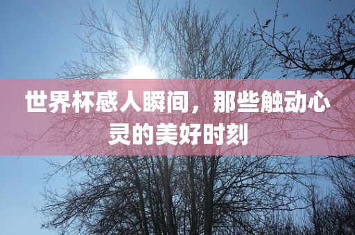 世界杯感人瞬间，那些触动心灵的美好时刻眉山市正发家政服务有限公司