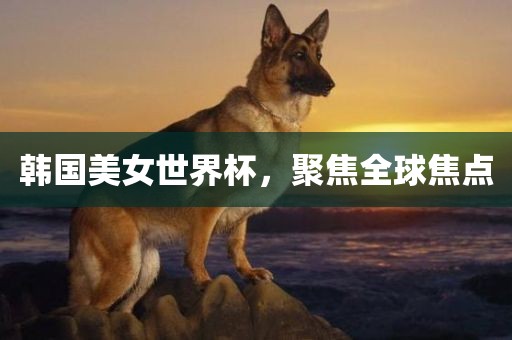 韩国美女世界眉山市正发家政服务有限公司杯，聚焦全球焦点