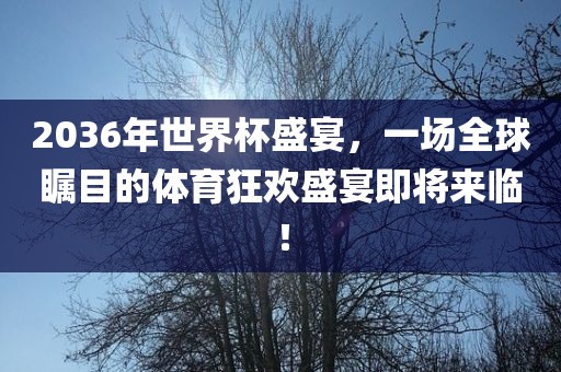 2036年世界杯盛宴，眉山市正发家政服务有限公司一场全球瞩目的体育狂欢盛宴即将来临！