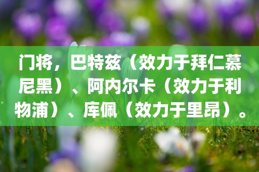 门将，巴特兹（效力于拜仁慕尼黑）、阿内尔卡（效力于利物浦）、库佩（效力于里昂）。