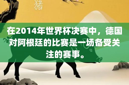 在2014年世界杯决赛中，德国对阿根廷的比赛是一场备受关注的赛事。眉山市正发家政服务有限公司