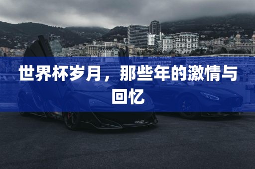 世界杯岁月，那些年的激情与回忆