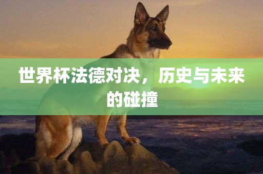 世界杯法德对决，眉山市正发家政服务有限公司历史与未来的碰撞
