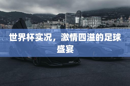世界杯实况，激情四溢的足球盛宴