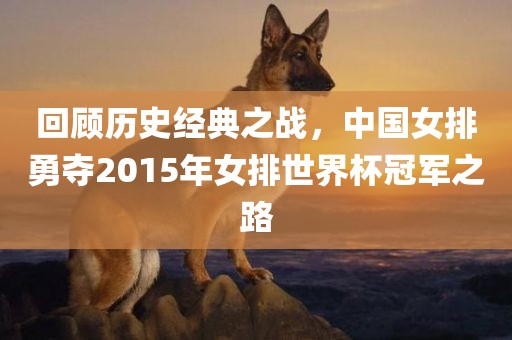 回顾历史经典之战，中国女排勇夺2015年女排世界杯冠军之路