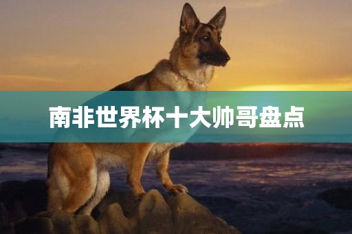 世界杯 第68页