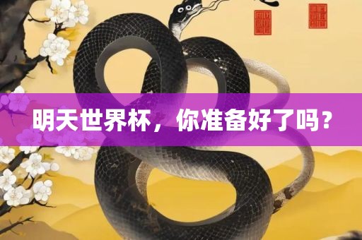 明天世界杯，你准备好了吗？眉山市正发家政服务有限公司