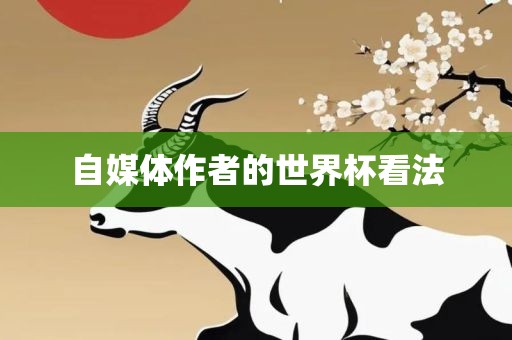 自媒体作者的世界杯看法
