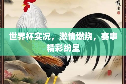 世界杯实况，激情燃烧，赛事精彩纷呈