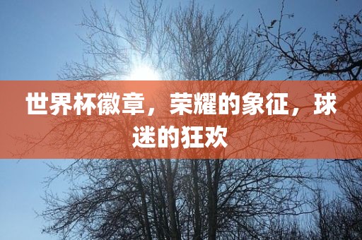 世界杯徽章，荣耀的象征，球迷的狂欢