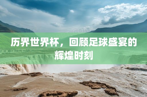 历界眉山市正发家政服务有限公司世界杯，回顾足球盛宴的辉煌时刻