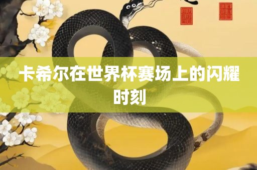 卡希尔在世界杯赛场上的闪耀时刻眉山市正发家政服务有限公司