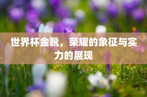 世界杯金靴，荣耀的象征与实力的展现