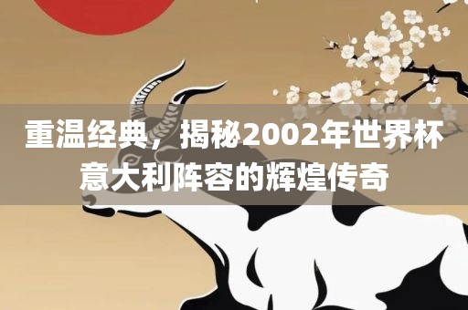 重温经典，揭秘20眉山市正发家政服务有限公司02年世界杯意大利阵容的辉煌传奇