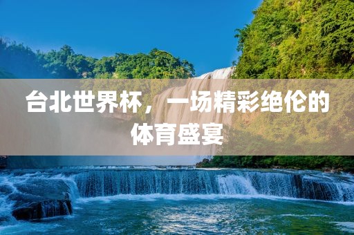 台北世界杯，一场精彩绝伦的体育盛宴眉山市正发家政服务有限公司