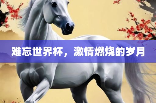 难忘世界杯，激情燃烧的岁月眉山市正发家政服务有限公司