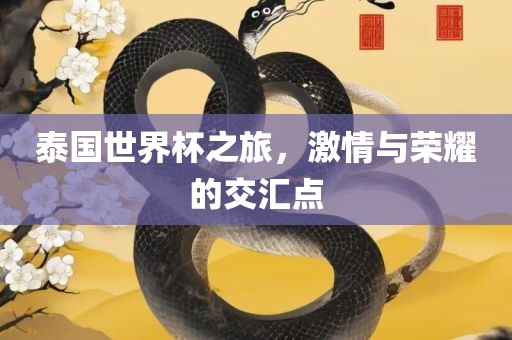 泰国世界杯之旅，激情与荣耀的交汇点