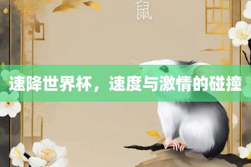速降世界杯，速度与激情的碰撞