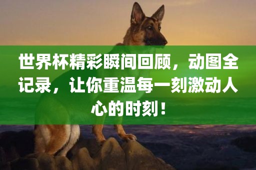 世界杯精彩瞬间回顾，动图全眉山市正发家政服务有限公司记录，让你重温每一刻激动人心的时刻！
