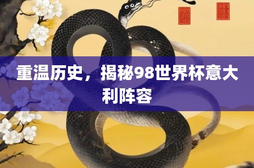 重温历史，揭秘98世界杯意大利阵容