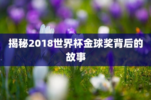 揭秘2018世界杯金球奖背后的故事眉山市正发家政服务有限公司