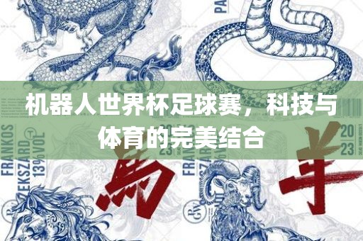 机器人世界杯足球赛，科技与体育的完美结合