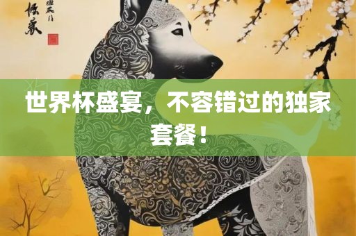 世界杯盛宴，不容错过的独家套餐！眉山市正发家政服务有限公司