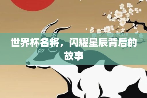 世界杯名将，闪耀星辰背后的故事眉山市正发家政服务有限公司