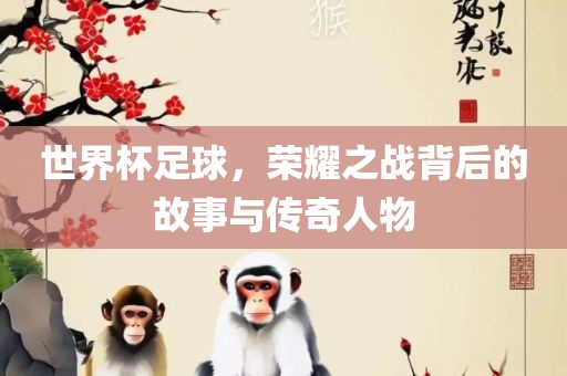 世界杯足球，荣耀之战背后的故事与传奇人物