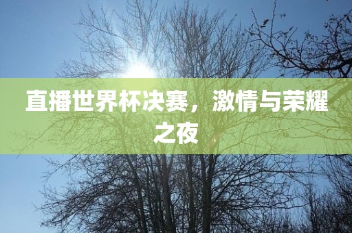 直播世界杯决赛，激情与荣耀之夜