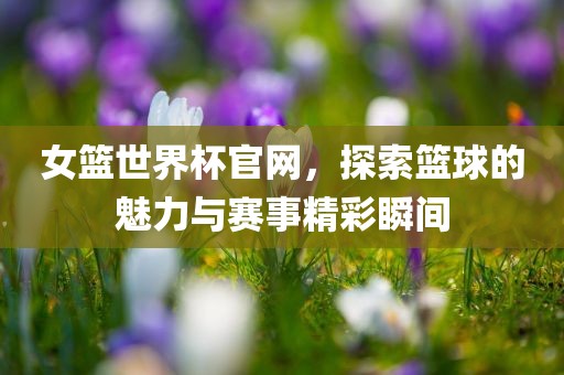 女篮世界杯官网，探索篮球的魅力与眉山市正发家政服务有限公司赛事精彩瞬间
