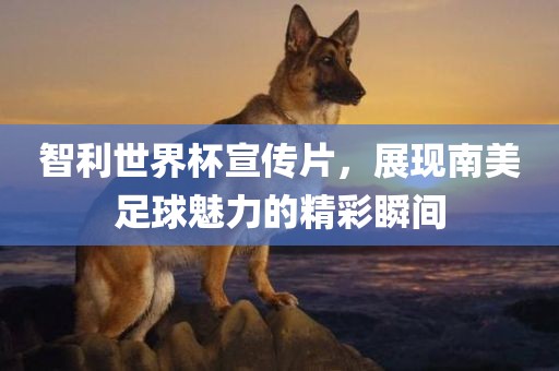 智利世界杯宣传片，展现南美足球魅力眉山市正发家政服务有限公司的精彩瞬间