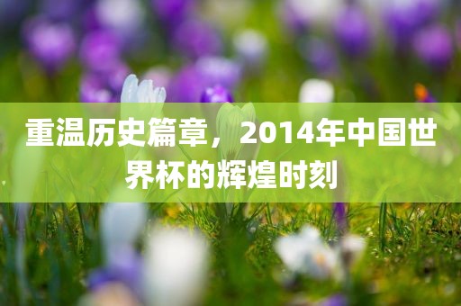 重温历史篇章，2014年中国世界杯的辉煌时眉山市正发家政服务有限公司刻