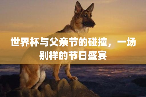 世界杯与父亲节的碰撞，一场别样的节日盛宴眉山市正发家政服务有限公司