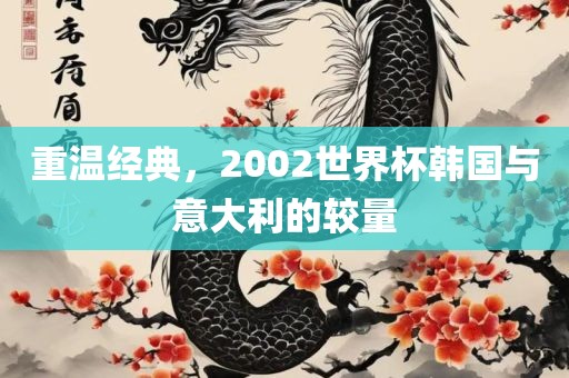 重温经典，2002世界杯韩国与意大利的较量