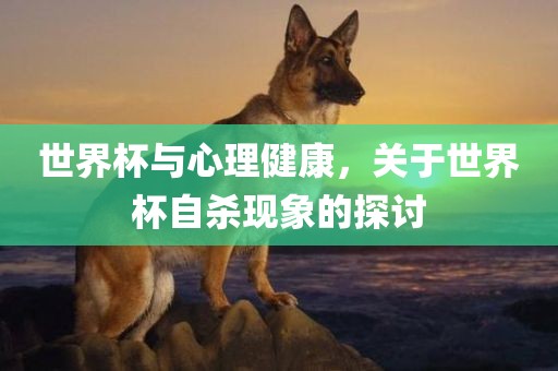 世界杯与心理健康，关眉山市正发家政服务有限公司于世界杯自杀现象的探讨