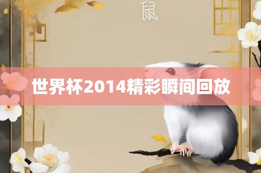 世界杯2014精彩瞬间回放