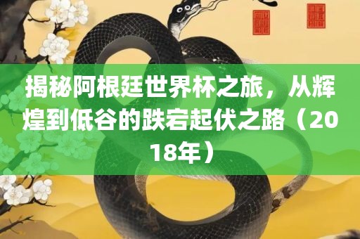 揭秘阿根廷世界杯之旅，从辉煌到低谷的跌宕起伏之路（2018年）