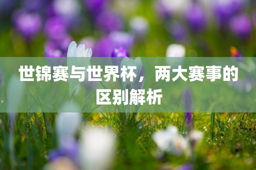 世锦赛与世界杯，两大赛事的区别解析