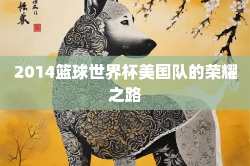 2014篮球世界杯美国队的荣耀之路