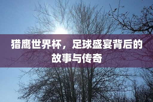 猎鹰世界杯，眉山市正发家政服务有限公司足球盛宴背后的故事与传奇