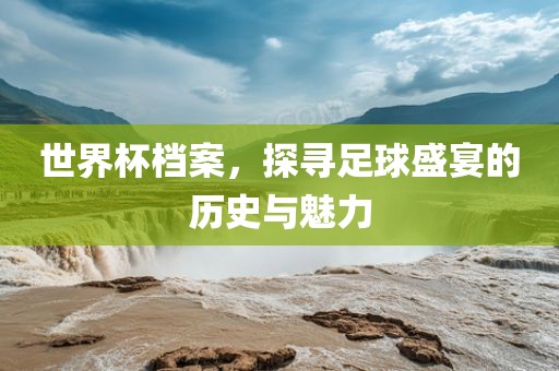 世界杯档案，探寻足球盛宴的历史与魅力眉山市正发家政服务有限公司