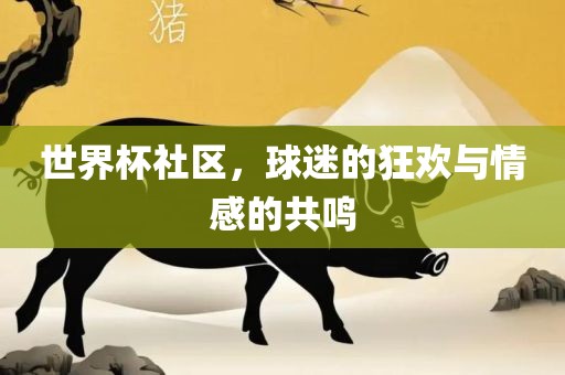 世界杯社区，球迷的狂欢与情感的共鸣