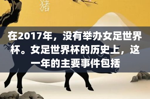 在2017年，眉山市正发家政服务有限公司没有举办女足世界杯。女足世界杯的历史上，这一年的主要事件包括