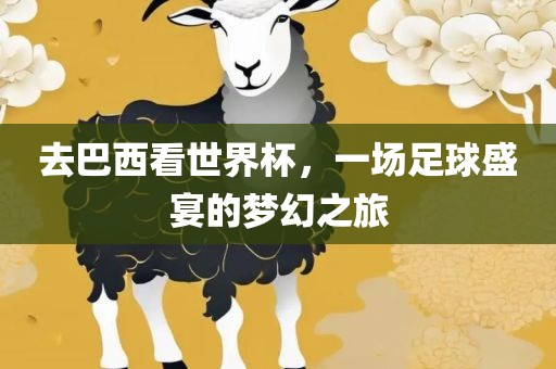 去巴西看世界杯，一场足球盛宴的梦幻之旅