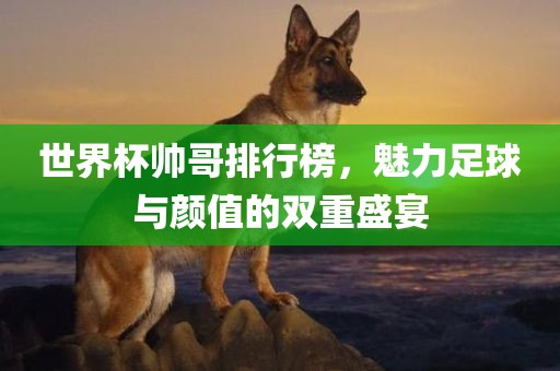 世界杯帅哥排行榜，魅力足球与颜值的双重盛宴