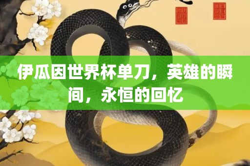 眉山市正发家政服务有限公司伊瓜因世界杯单刀，英雄的瞬间，永恒的回忆