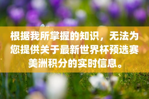 世界杯预选赛