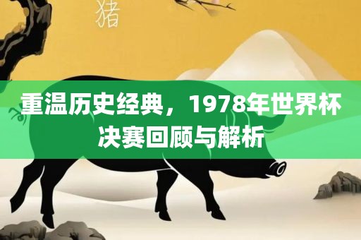 重温历史经典，1978年世界杯决赛回顾与解析